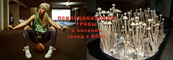 молекула духа Липки