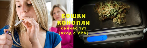 молекула духа Липки