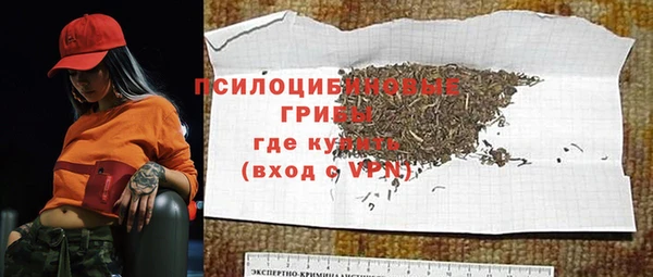 молекула духа Липки